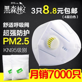 黑森林 PM2.5防雾霾防尘N95活性炭带呼吸阀口罩3支